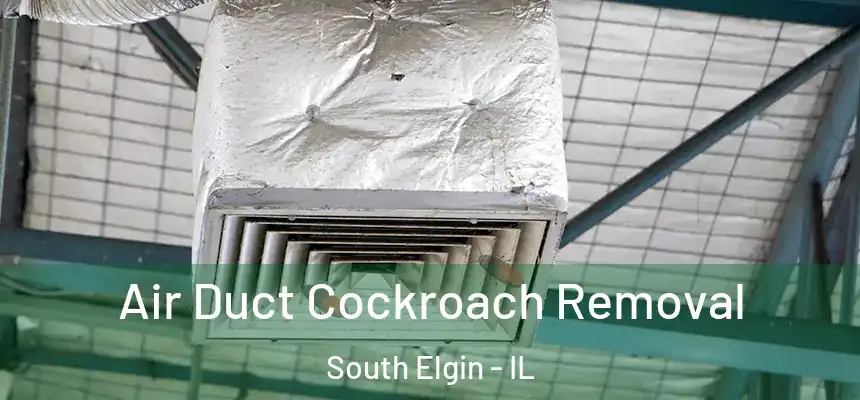 Air Duct Cockroach Removal South Elgin - IL
