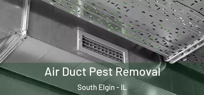 Air Duct Pest Removal South Elgin - IL