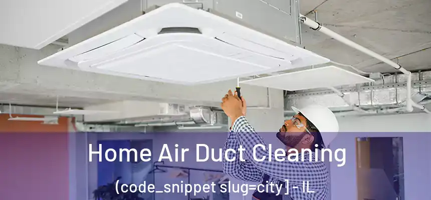  Home Air Duct Cleaning (code_snippet slug=city] - IL
