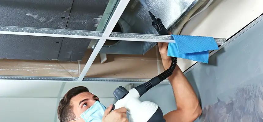 Our Air Duct Rodent Removal Services in South Elgin, IL