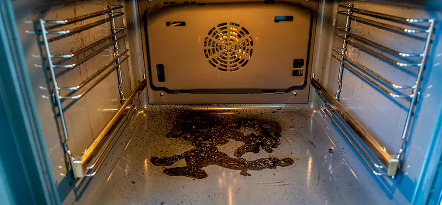 Our Dryer Vent Mold Cleaning Services in South Elgin, IL