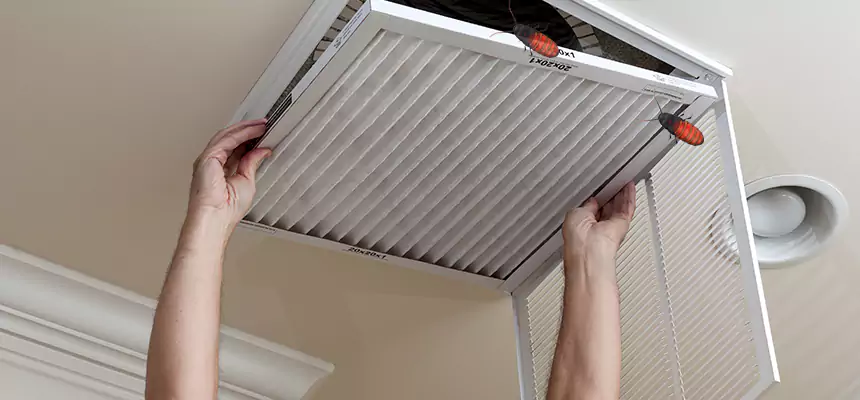 Our Insect Removal from Air Ducts Services in South Elgin, IL