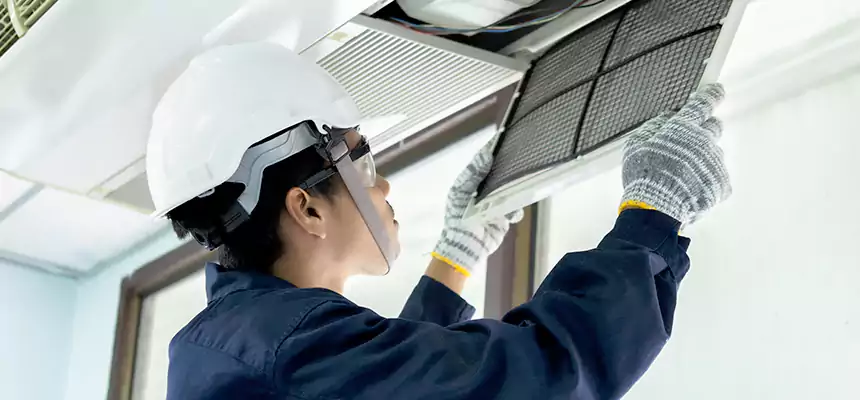 Our Mold & Mildew Removal from Air Ducts Services in South Elgin, IL