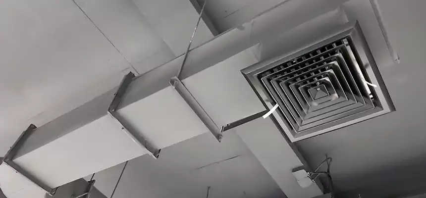 Our Pest Removal From Ducts Services in South Elgin, IL