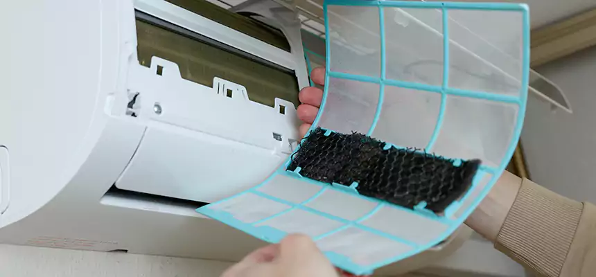 Gentle Ductwork Odor-Control Pet Dander Duct Cleaning in South Elgin, IL