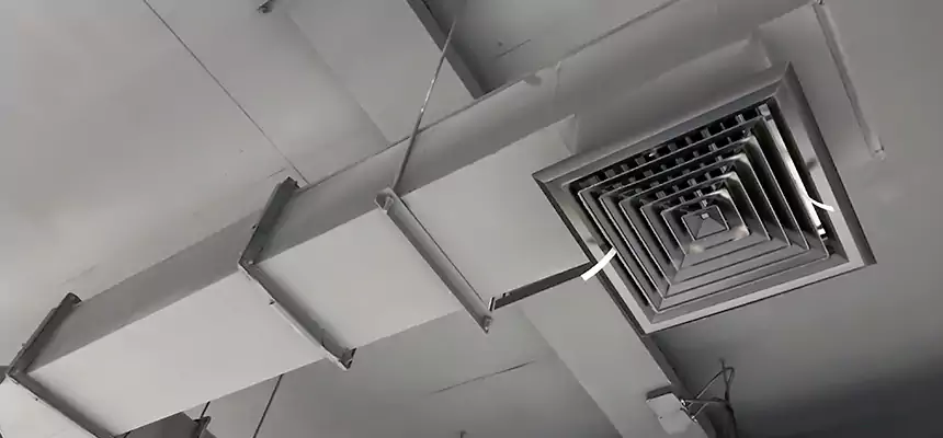 Our Rodent Droppings In Vents Services in South Elgin, IL