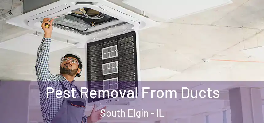  Pest Removal From Ducts South Elgin - IL