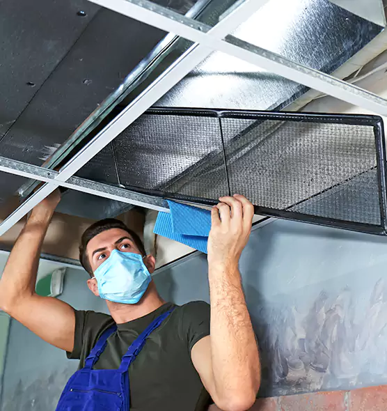 Professional Air Duct Pollen Cleaning in South Elgin, IL