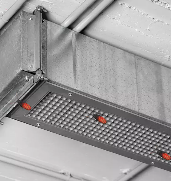 Affordable Insect Removal from Air Ducts in South Elgin, IL