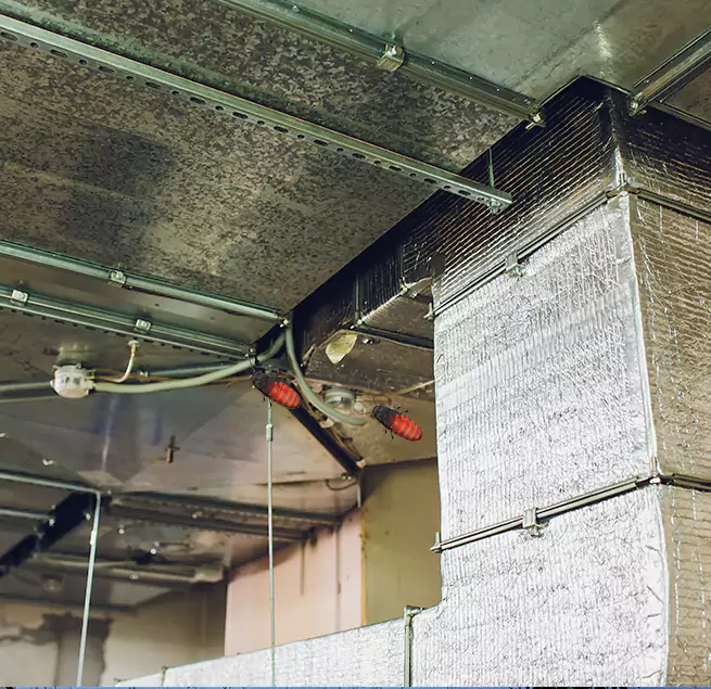 Why Homeowners & Businesses Trust Us in South Elgin, IL?