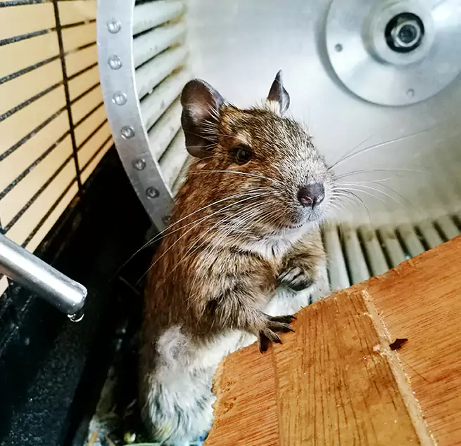 Why Homeowners & Businesses Trust Us South Elgin, IL