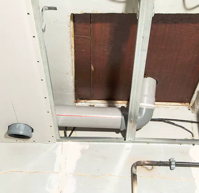 Why Homeowners & Businesses Trust Us in South Elgin, IL?