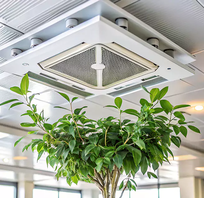 Why Homeowners & Businesses Trust Us in South Elgin, IL?