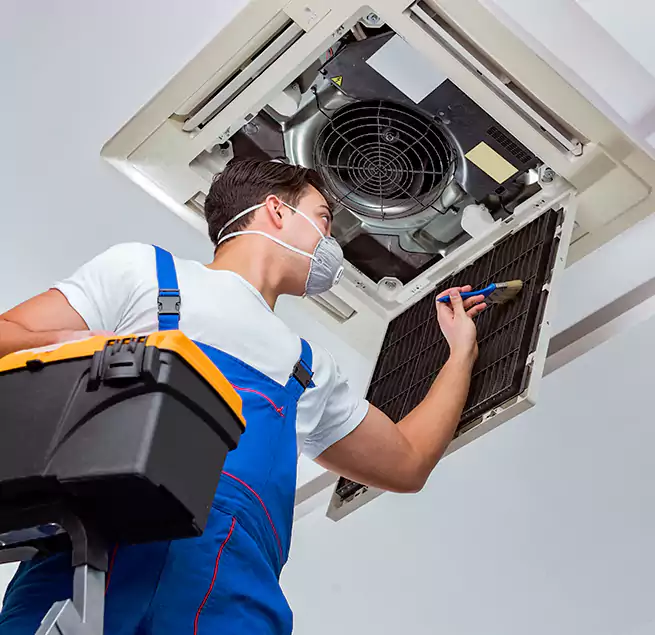 Why Homeowners & Businesses Trust Us in South Elgin, IL?