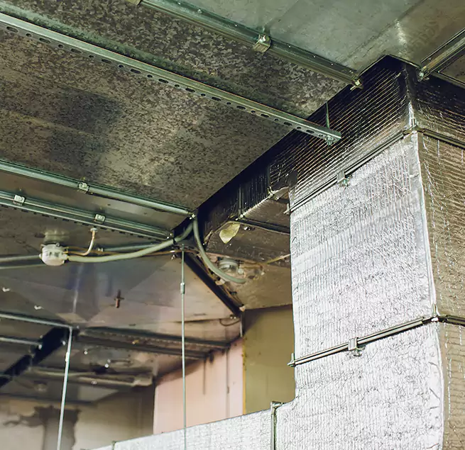 Why Homeowners & Businesses Trust Us in South Elgin, IL?