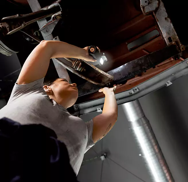 Why Homeowners & Businesses Trust Us South Elgin, IL