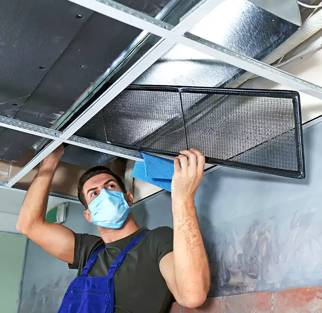 Why Homeowners Businesses Trust Us in South Elgin, IL